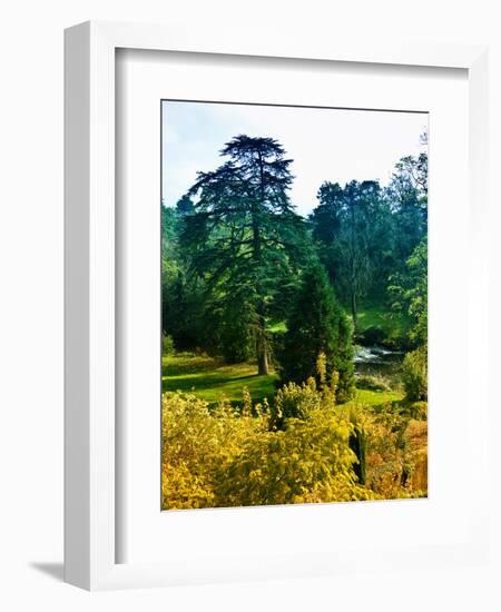 Clisson - Loire-Atlantique - Pays de la Loire - France-Philippe Hugonnard-Framed Photographic Print