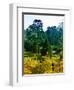 Clisson - Loire-Atlantique - Pays de la Loire - France-Philippe Hugonnard-Framed Photographic Print