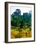 Clisson - Loire-Atlantique - Pays de la Loire - France-Philippe Hugonnard-Framed Photographic Print