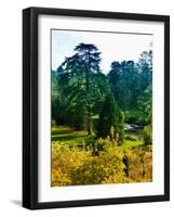 Clisson - Loire-Atlantique - Pays de la Loire - France-Philippe Hugonnard-Framed Photographic Print