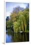 Clisson - Loire-Atlantique - Pays de la Loire - France-Philippe Hugonnard-Framed Photographic Print