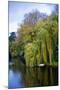 Clisson - Loire-Atlantique - Pays de la Loire - France-Philippe Hugonnard-Mounted Photographic Print