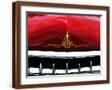 Brown Frame