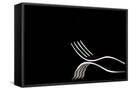 Canvas Black