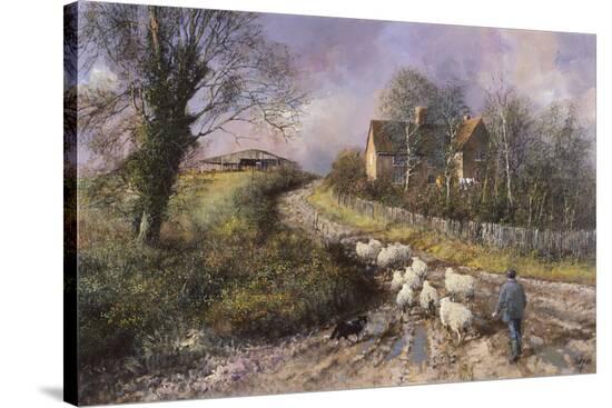 Stretched Canvas Print, , large