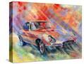 Stretched Canvas