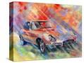 Stretched Canvas