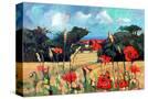 Stretched Canvas