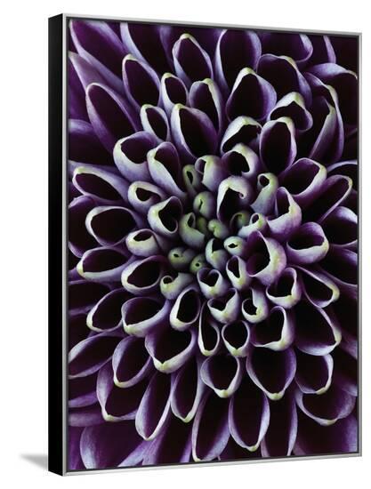 Framed Canvas Print, , large