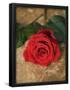 Essential Black