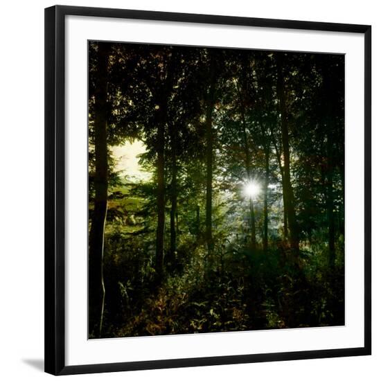 Photographic Print, , large