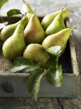 Pears in a Drawer-Clive Streeter-Framed Photographic Print