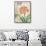 Clivia Floral Collage-Pamela Gladding-Framed Stretched Canvas displayed on a wall