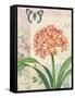 Clivia Floral Collage-Pamela Gladding-Framed Stretched Canvas