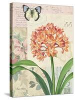 Clivia Floral Collage-Pamela Gladding-Stretched Canvas