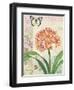 Clivia Floral Collage-Pamela Gladding-Framed Art Print