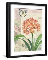 Clivia Floral Collage-Pamela Gladding-Framed Art Print
