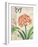 Clivia Floral Collage-Pamela Gladding-Framed Art Print