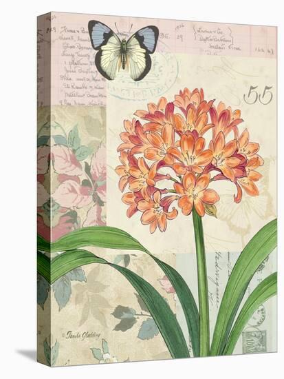 Clivia Floral Collage-Pamela Gladding-Stretched Canvas