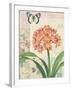 Clivia Floral Collage-Pamela Gladding-Framed Art Print