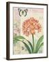 Clivia Floral Collage-Pamela Gladding-Framed Art Print