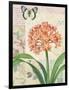 Clivia Floral Collage-Pamela Gladding-Framed Art Print