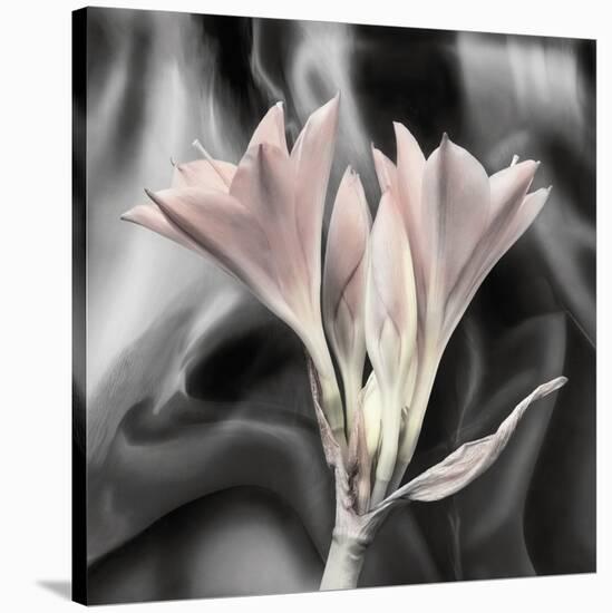 Clivia Pastel-Scott Peck-Stretched Canvas