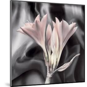 Clivia Pastel-Scott Peck-Mounted Art Print