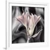 Clivia Pastel-Scott Peck-Framed Art Print