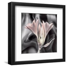 Clivia Pastel-Scott Peck-Framed Art Print