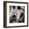 Clivia Pastel-Scott Peck-Framed Art Print