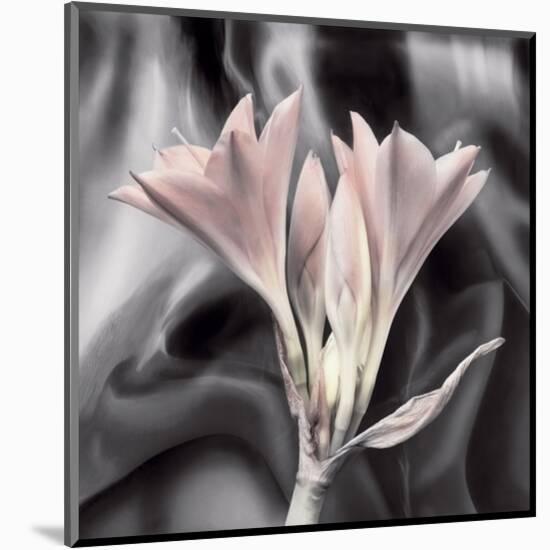 Clivia Pastel-Scott Peck-Mounted Art Print