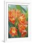 Clivia-Graeme Stevenson-Framed Giclee Print