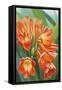 Clivia-Graeme Stevenson-Framed Stretched Canvas