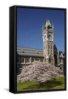 Clock Tower at the University of Otago, Dunedin, New Zealand.-David Wall-Framed Stretched Canvas
