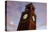 Clock Tower in Chicago-benkrut-Stretched Canvas