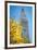 Clock tower, Madison Square park, New York City, NY, USA-Julien McRoberts-Framed Photographic Print