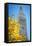 Clock tower, Madison Square park, New York City, NY, USA-Julien McRoberts-Framed Stretched Canvas