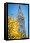 Clock tower, Madison Square park, New York City, NY, USA-Julien McRoberts-Framed Stretched Canvas