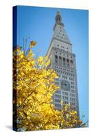 Clock tower, Madison Square park, New York City, NY, USA-Julien McRoberts-Stretched Canvas