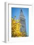 Clock tower, Madison Square park, New York City, NY, USA-Julien McRoberts-Framed Photographic Print