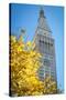 Clock tower, Madison Square park, New York City, NY, USA-Julien McRoberts-Stretched Canvas