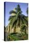 Clock Tower, Plaza de La Paz, Old City, Cartagena, Colombia-Jerry Ginsberg-Stretched Canvas