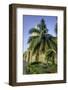 Clock Tower, Plaza de La Paz, Old City, Cartagena, Colombia-Jerry Ginsberg-Framed Photographic Print