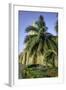 Clock Tower, Plaza de La Paz, Old City, Cartagena, Colombia-Jerry Ginsberg-Framed Photographic Print