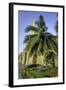 Clock Tower, Plaza de La Paz, Old City, Cartagena, Colombia-Jerry Ginsberg-Framed Photographic Print