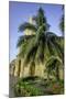 Clock Tower, Plaza de La Paz, Old City, Cartagena, Colombia-Jerry Ginsberg-Mounted Photographic Print