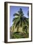 Clock Tower, Plaza de La Paz, Old City, Cartagena, Colombia-Jerry Ginsberg-Framed Photographic Print