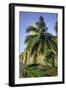 Clock Tower, Plaza de La Paz, Old City, Cartagena, Colombia-Jerry Ginsberg-Framed Photographic Print