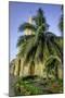 Clock Tower, Plaza de La Paz, Old City, Cartagena, Colombia-Jerry Ginsberg-Mounted Photographic Print